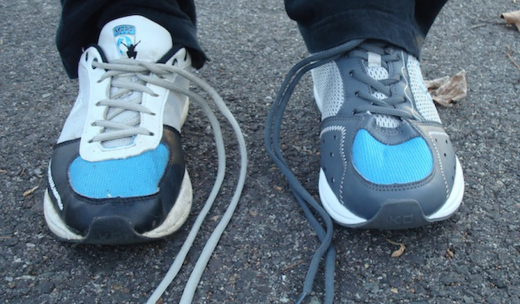Adventurous Kitty Sneaks Into Baseball Game. You Won’t Believe Where It